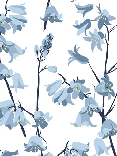 Bluebell Roller Blind by Lorna Syson