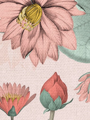 Sacred Lotus Blush Floral Roller Blind by Boon & Blake