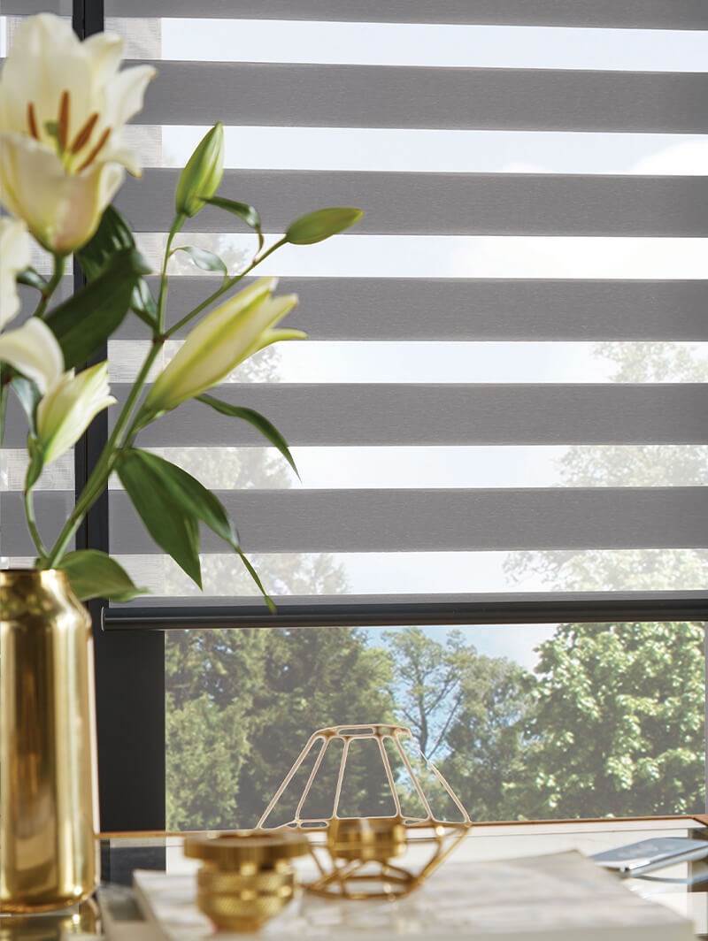 Ferrara Anthracite Vision Day and Night Blind