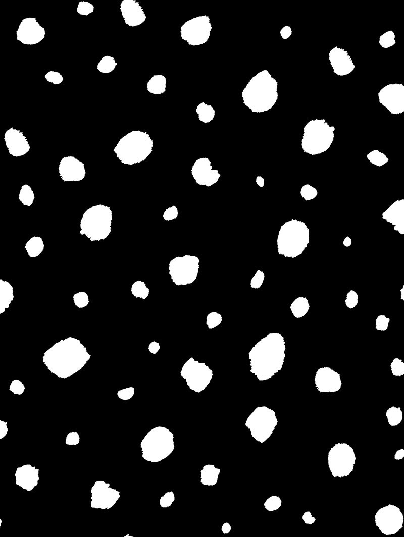 Dalmatian Night Black Roller Blind