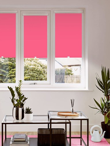 Blackout Guava Perfect Fit Roller Blind