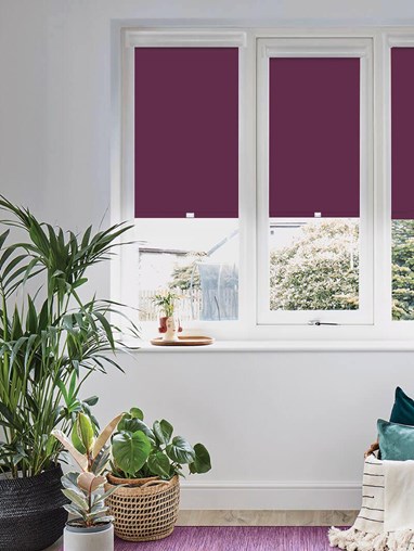 Blackout Wallflower Perfect Fit Roller Blind