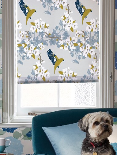 Greenfinch Roller Blind by Lorna Syson
