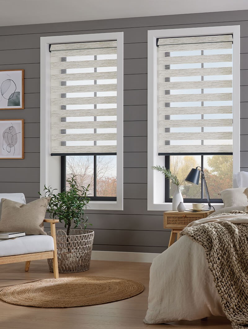 Day and Night Black Daylight Roller Blind